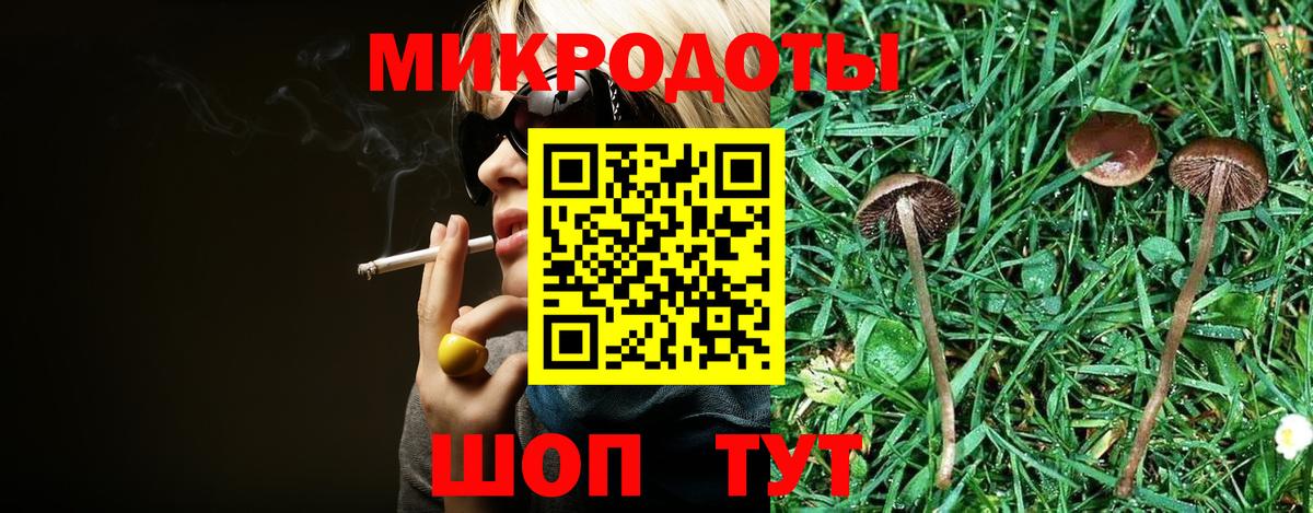 Отрадное  купить наркотики сайты  Вход с VPN  Псилоцибиновые грибы мицелий 